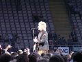 Bon Jovi 26098988