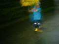 i´m walking in the rain ..... 27600842