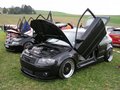 GTI-Treffen 22819047