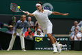 Wimbledon 2009 62790030