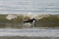 surfin brasiiiiiiil 27130902