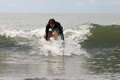 surfin brasiiiiiiil 27131408