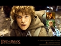 Herr der Ringe 29755167