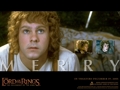 Herr der Ringe 29755169