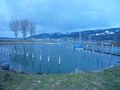 Bodensee& Yachtclub Bregenz 55809424