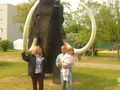 DINO Park, Traun 01.05.09 58693364