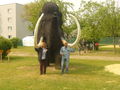 DINO Park, Traun 01.05.09 58697164