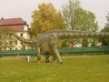 DINO Park, Traun 01.05.09 58697528