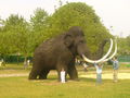 DINO Park, Traun 01.05.09 58697735