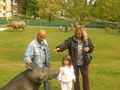 DINO Park, Traun 01.05.09 58698400