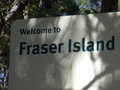 fraser island 24899831