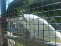 Tierpark 38471034