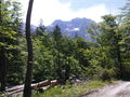 Welserhütte 09.06.2009 66123877
