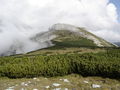 Poppenalm - Salzsteigjoch - Gamsstein 67009189