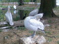 Besuch in Schönbrunn 25590226