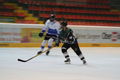 me@hockey -- GRIZZLIES LINZ 54803457