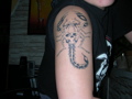 Meine Tattoo´s 32109577