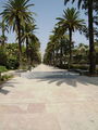 Malaga/ Costa del Sol 08 42454094