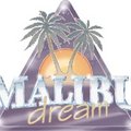 Malibu 24014907