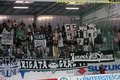 Sk Puntigamer Sturm Graz 26879489