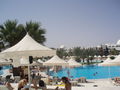 Urlaub in Djerba und Kärnten 42905579