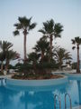 Urlaub in Djerba und Kärnten 42906035