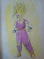 Dragonball Z bilder  72249739