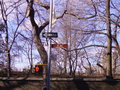New York 15991717