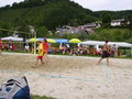 Unsere Volleyballer 24121326