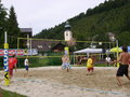 Unsere Volleyballer 24121463