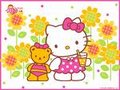 Hello Kitty 24166080