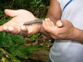 ecuador-mi tierra 19550625