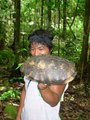 ecuador-mi tierra 19550627