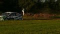 ADAC Rallye 08 46141402