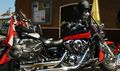 Bikertreffen Haslach The Bulls 70549572