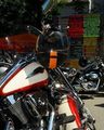 Bikertreffen Haslach The Bulls 70549700