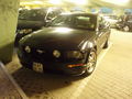 Mustang Shelby GT 59338356