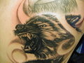 Tattoo's - aus meinem Studio 25233810