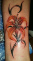 TATTOO's 2008-2009 60170667