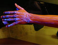 UV-Tattoos 41810244