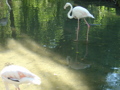 Tierpark Haag - Ferienpassaktion 29662871