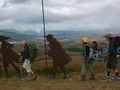 Camino de Santiago 47916936