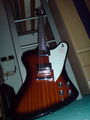 My Epiphone Firebird Studio limited Edt. 51059134