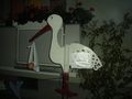 Storch aufstellen bei uns =) 68280551