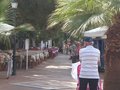 Urlaub-Mallorca 28760484