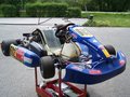 Mein RM1 Kart 24527219