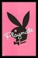 pLayboy 27363221