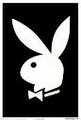 pLayboy 27363246