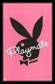 Playboy 30087428