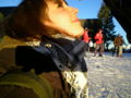 snowboardn mit julia = ) 33777755